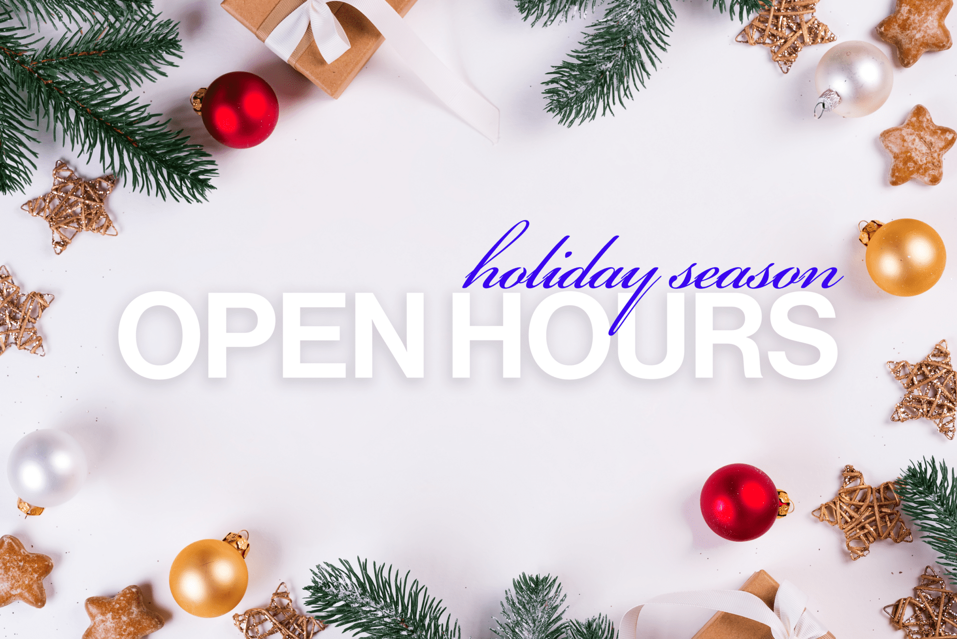 Holiday season post banner
